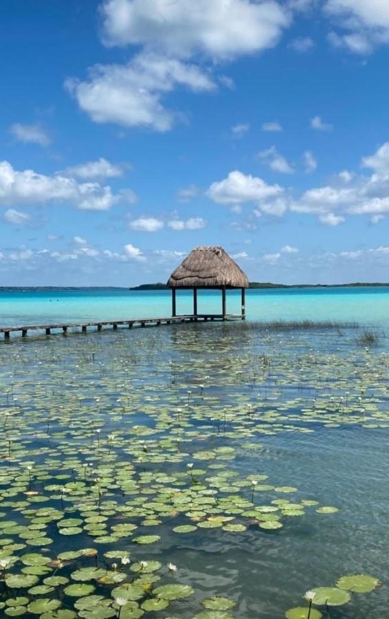 Muelle36 Hostel Bacalar Buitenkant foto